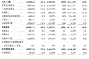 正力新能赴港IPO：2024年或将继续亏损 前五大客户贡献收入超8成