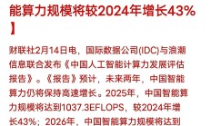 通用算力相对过剩 智能算力相对短缺 ——中国算力市场的成长烦恼