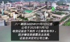 涉嫌信披违法违规 际华集团被立案