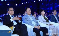 黄光裕连续减持：国美的“进与退”