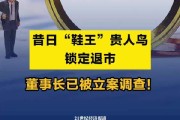 董事长遭立案调查 三问新里程