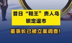 董事长遭立案调查 三问新里程