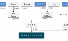 纬诚科技IPO：新增境外大客户真实性遭问询 加拿大籍实控人与陆毅夫妇签对赌协议