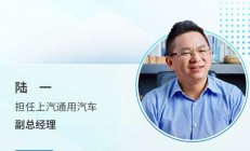 片仔癀高层人事变动：施艺雄任副总经理，并代行董秘职责