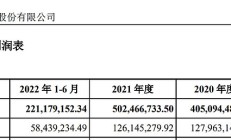 破发股金田股份上半年净利预降 2020上市3募资共45亿