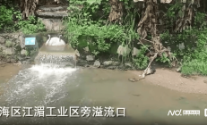 中央环保督察现场检查 ST交投控股子公司因环保问题被罚
