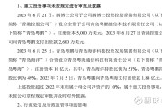 苏银金租因违规被罚8万元 相关责任人被罚1.5万元