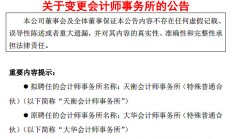 立新能源改聘中兴华会计师事务所为审计机构