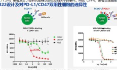 精鼎医药首席患者官Clare Grace:以患者为中心的临床试验 研发药物上市概率高出传统试验19个百分点