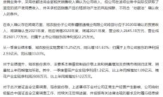 电科网安子公司因“涉嫌存在违规问题”被暂停部分范围“军采”资格