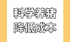 业绩持续修复 生猪养殖企业推进降本增效