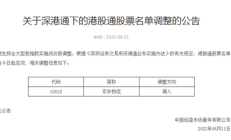 港股小幅调整 京东公布去年“成绩单”
