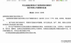 7家村镇银行获批解散