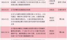 证监会：上市公司财务造假系统性、隐蔽性、复杂性特征越发突出