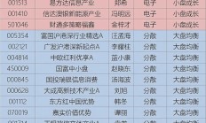 公募债券基金申报规则有新变化；又有绩优基金限大额申购丨天赐良基早参