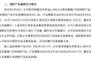 *ST双成资本迷局的警示