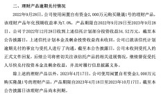 *ST双成资本迷局的警示