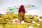高负债下分红 惠科股份二闯IPO