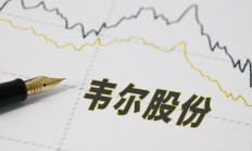 信披内容出错 迪森股份及其责任人被警示