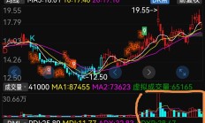 宝莱特：前10个月已回购297.06万股股份 耗资2000万元