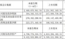 科锐国际2024上半年营收同比增逾16% 国内业务成增长亮点