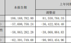 破发股赛伍技术上半年预亏 2020年上市两募资共11.2亿