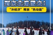 第九届亚冬会开幕 上市公司力求从冰雪“冷资源”中找到“热商机”