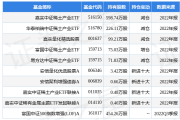 热点再次切换，稀土ETF涨疯了！本周领涨品种多为新面孔