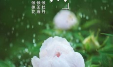 概念股连涨三天 教培业春天将至