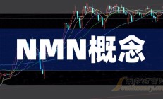 又一A股龙头启动招股 港股IPO好戏连台