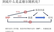 司法部：有关部门正在抓紧研究起草金融法草案
