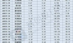 半年巨亏近3亿 帕瓦股份上市后业绩变脸