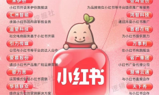 怎么回事？小红书概念股继续涨停潮，“赚钱版小红书”今天却跌了4%