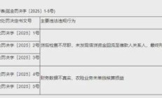 中广核财务公司被罚75万元：因将流动资金贷款用于固定资产投资等违规