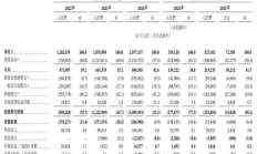 未盈利先闯关 上海超硅冲刺科创板