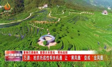 完善做市商制度 抢抓发展机遇期