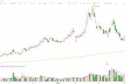 抢先大基金“掘金” 券商5月调研扎堆电子等行业