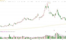 抢先大基金“掘金” 券商5月调研扎堆电子等行业