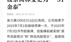 9年“空转贸易”虚增营收近199亿元，*ST高鸿遭1.6亿元重罚面临强制退市