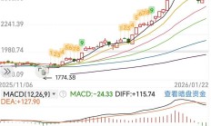 市场冲高回落，但仍有近20只基金涨超5%