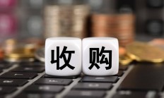 长鸿高科上半年扣非亏损 拟向实控人买连亏两年的公司