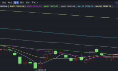 龙年最后一个交易日，16只主动基金跌超6%
