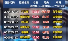 年内已有4只“翻倍基”！都是医药主题