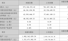 绝味食品2024年上半年营收下滑9.73% 单店精细化管理或成卤味行业发展趋势