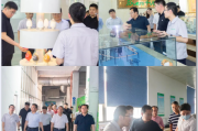 “合纵连横”开启并购重组新局 上市公司质量向“高”而攀