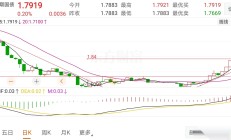 一季度债基持仓大调整：信用债配置比例下降，政金债、国债受青睐