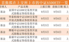 马不停蹄！第二批中证A500ETF火速上报，材料已获监管接收