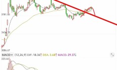 宽松预期托底债市偏强，纯债基金收益率均值回正，债券ETF规模再创新高