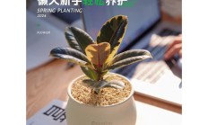 交个朋友要当“靠谱朋友” 启用明星直播能解“入淘”周年焦虑吗？