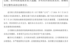 老百姓实控人谢子龙解除留置